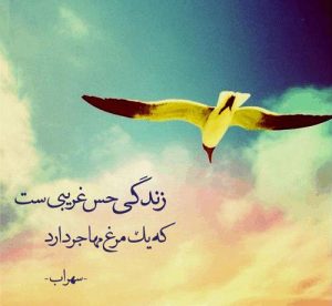 دربارۀ این مقاله بیشتر بخوانید متن پلاتوهای برنامه تلویزیونی" فرزندان روح الله"(1-3)