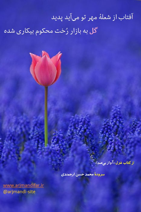 دربارۀ این مقاله بیشتر بخوانید معرفی کتاب "رنگین کمان واژه ها"